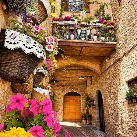 House Patio *
